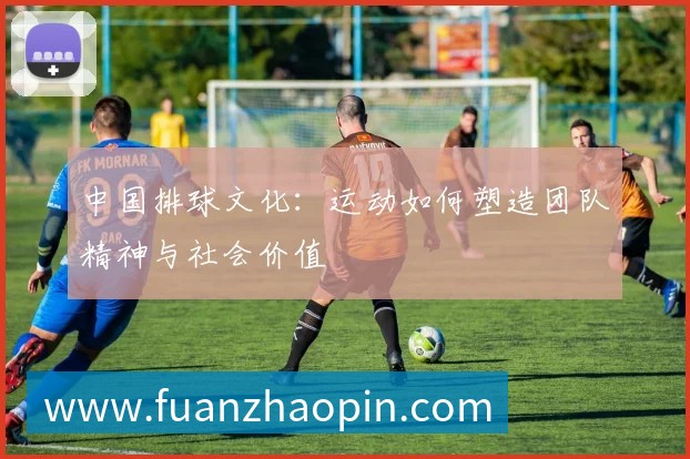 中国排球文化:运动如何塑造团队精神与社会价值